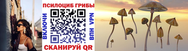Галлюциногенные грибы MAGIC MUSHROOMS  как найти закладки  Будённовск 